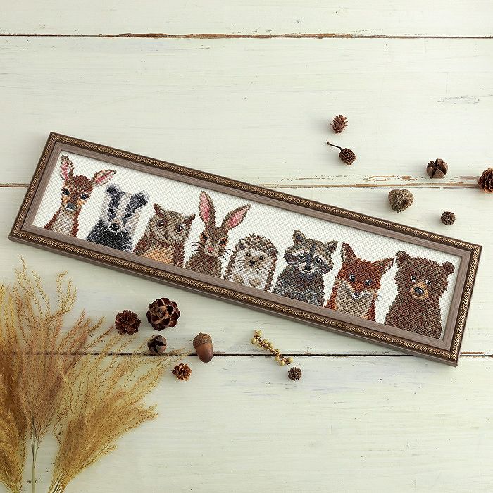 000000050481-01.jpg?size=m&w=