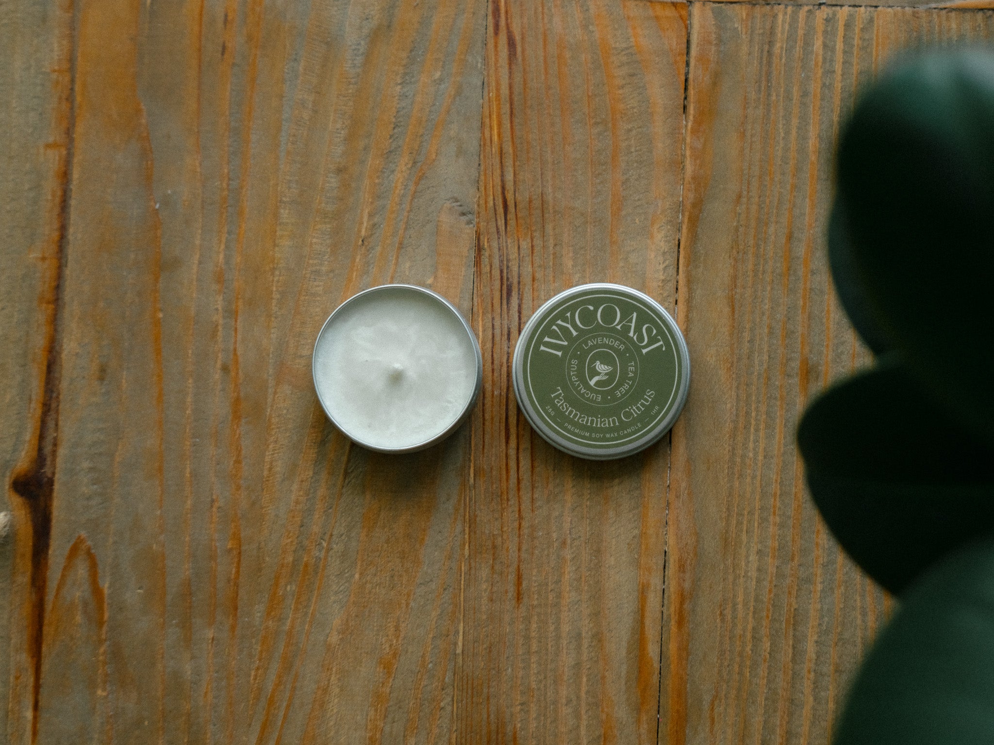 Candle Trial Pack (3 Candles) - アイビーコースト キャンドル – Ivycoast