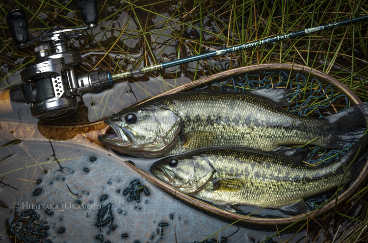 Jet Setter 46C [Twig]「冒険用品」