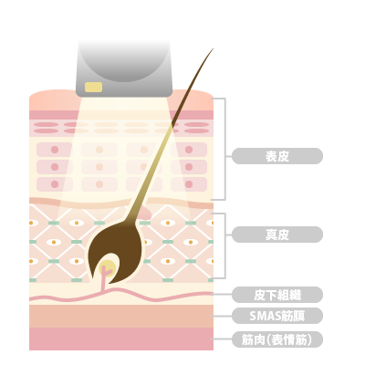 複合方美容機 SB CABIN 2｜日本セルフエステ協会