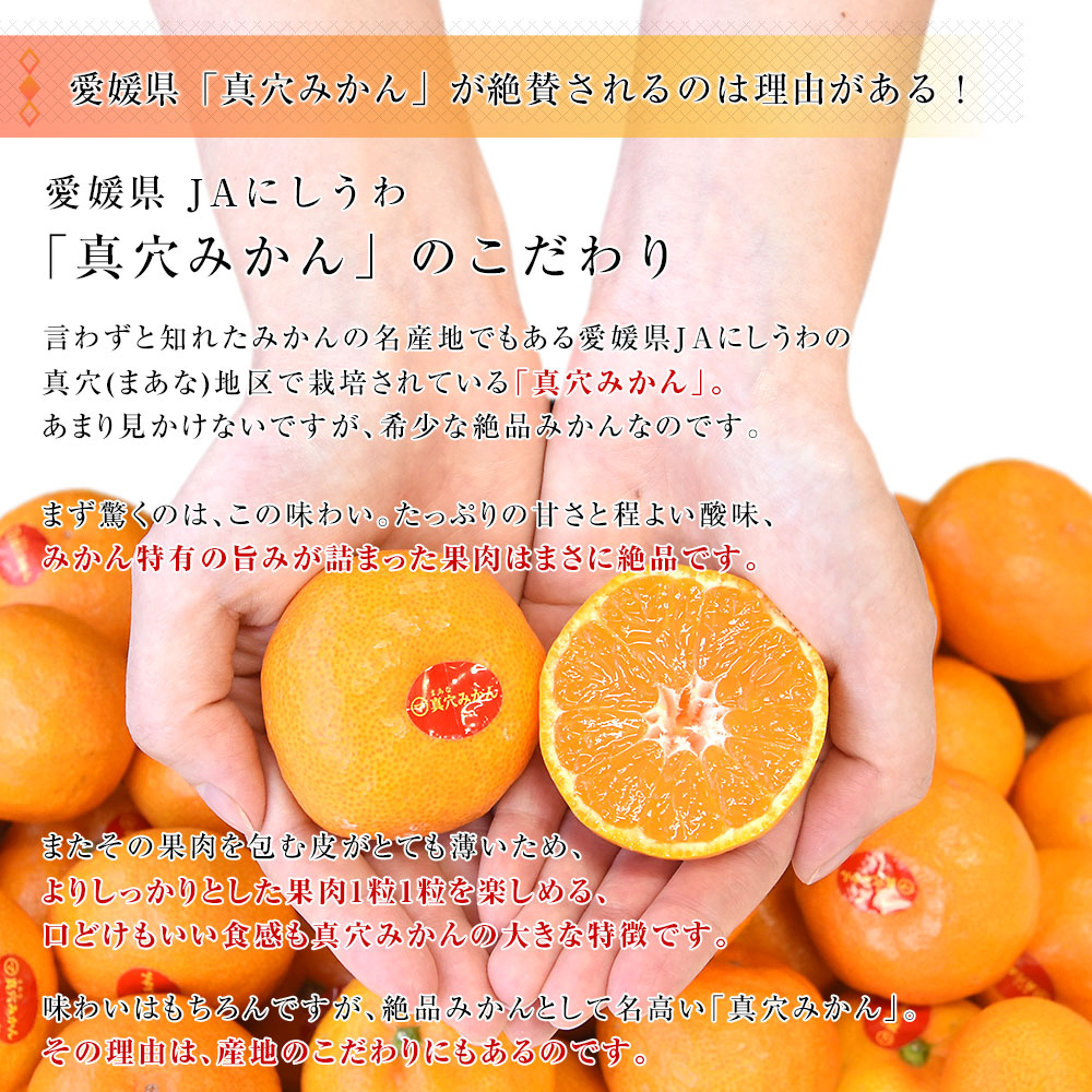 愛媛県 JAにしうわ 真穴共選 最上級みかん「ひなの里」2LからSサイズ 3