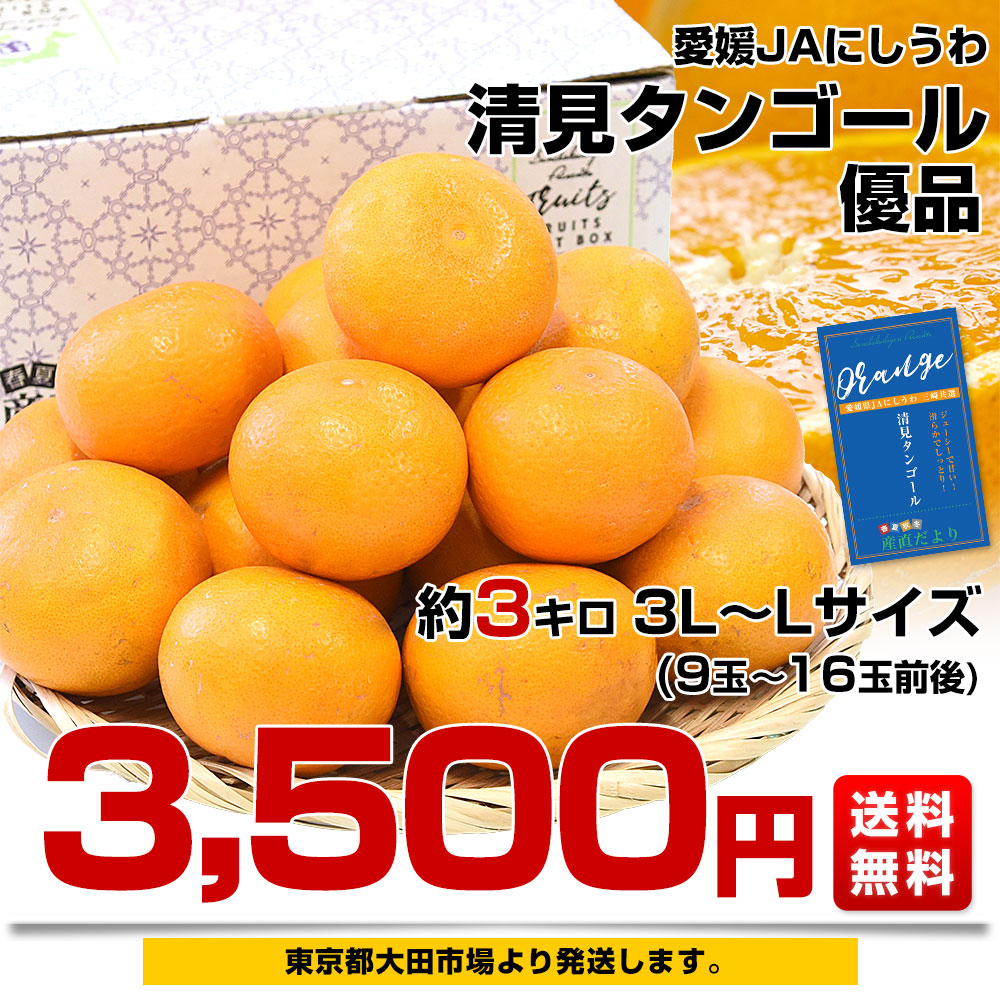 媛県産 JAにしうわ三崎共選 清見タンゴール 優品 2LからLサイズ 約3