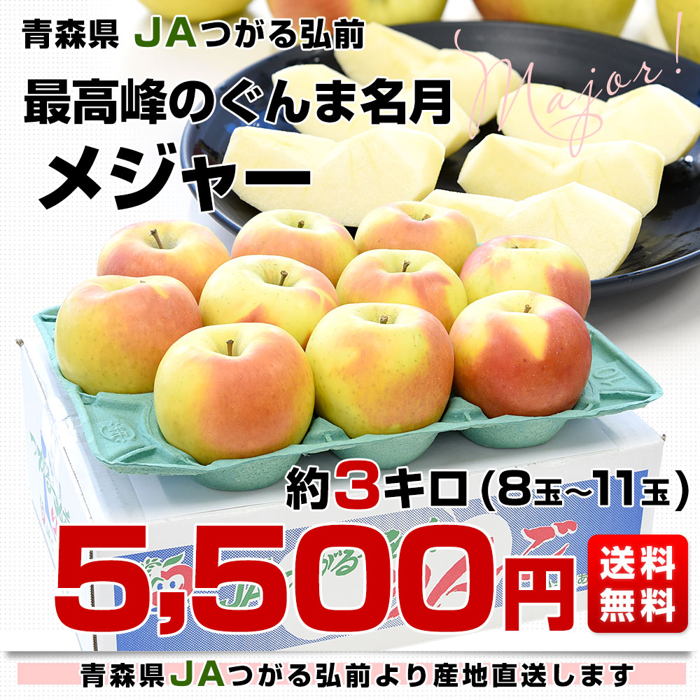 青森県より産地直送 JAつがる弘前 メジャー ぐんま名月 約3キロ（8玉