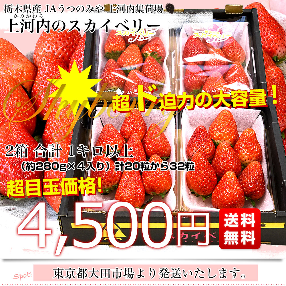 栃木県産 JAうつのみや 超盛り「上河内のスカイベリー」たっぷり2箱
