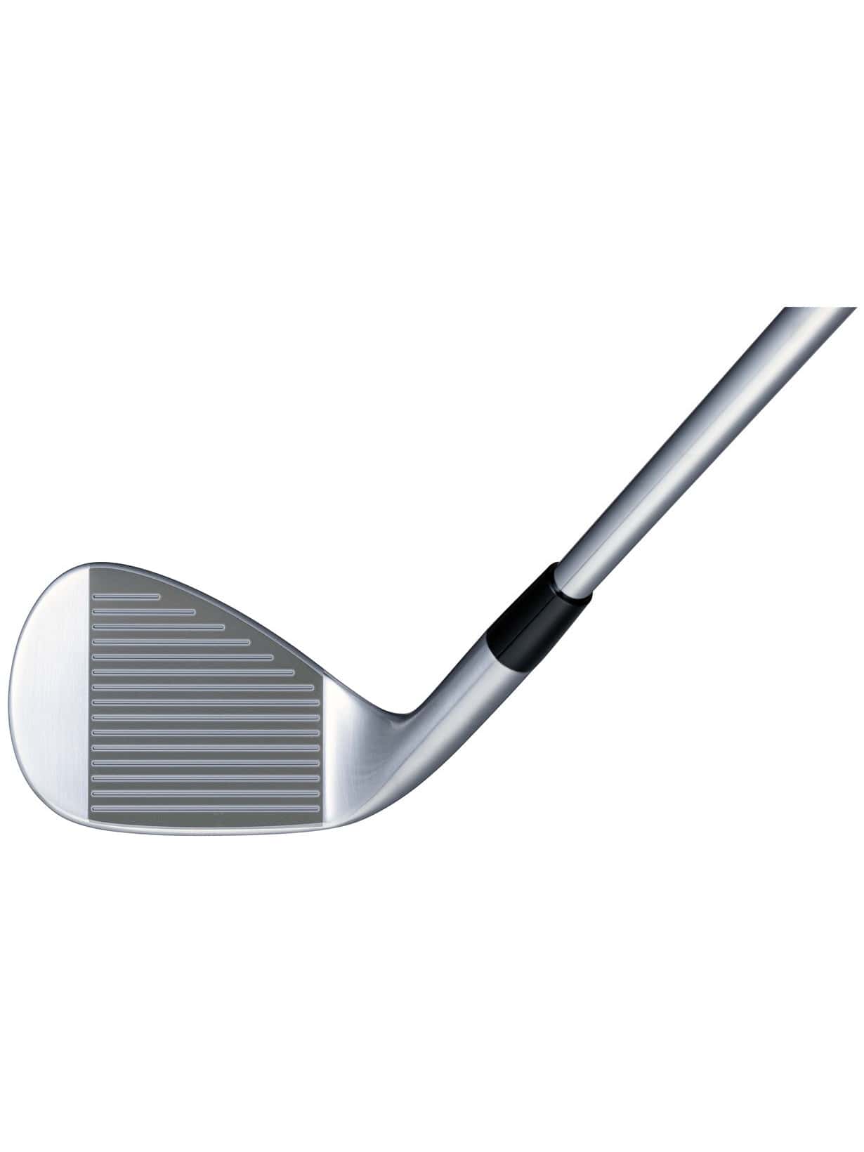 2024年モデル】 BITING SPIN WEDGE [N.S.PRO MODUS3 TOUR120