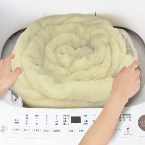 ES-GV10H | 洗濯機：シャープ