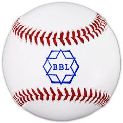 東京六大学野球】試合球|1GJRBW0001|イベントグッズ|野球|ミズノ公式