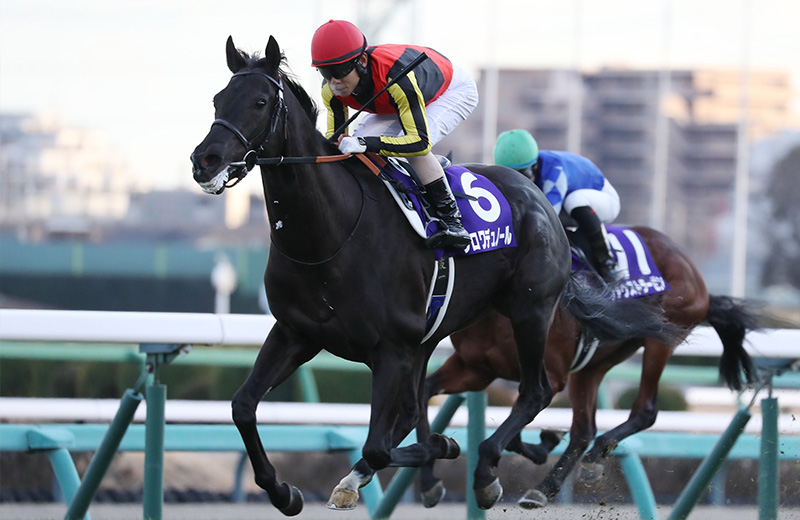 クロワデュノール｜名馬メモリアル｜競馬情報ならJRA-VAN
