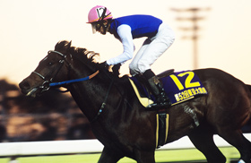 アドマイヤグルーヴ｜名馬メモリアル｜競馬情報ならJRA-VAN