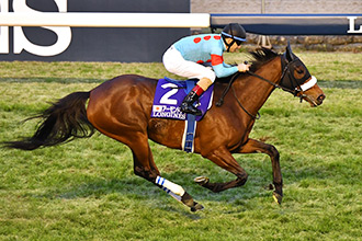 2020年 ジャパンカップ JRA