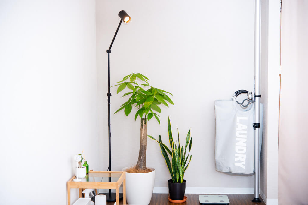 無印よりIKEAの読書灯・フロアライトが良いかも？本好きな人におすすめ