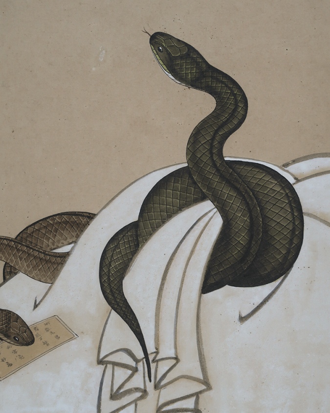 嘉田耕収 蛇図 （蛇心魔術） | 掛軸(掛け軸)販売／表装ご依頼は掛軸