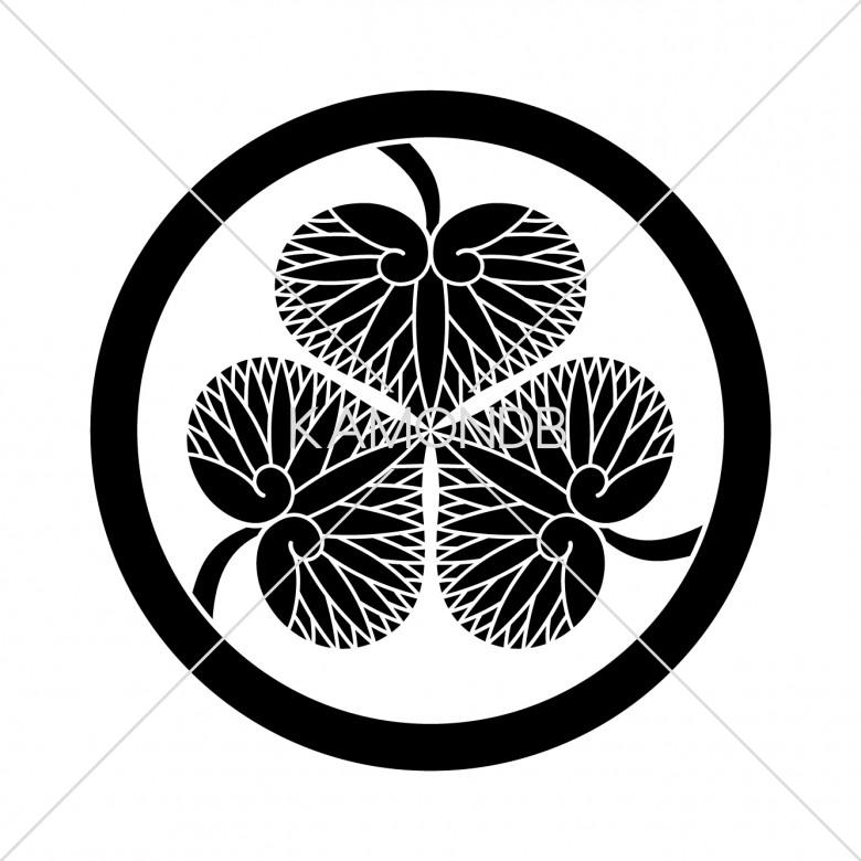 徳川葵（江戸初期） – 家紋DB