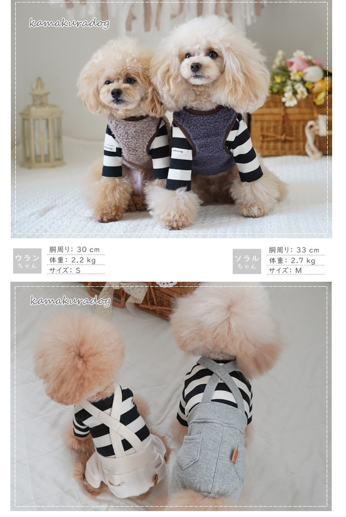 可愛い小型犬洋服通販 鎌倉DOG ネイビーロングスリーブTシャツ