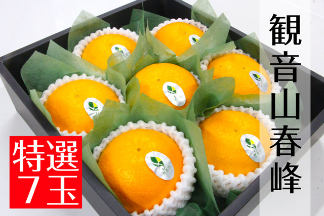 春峰 柑橘春峰の観音山フルーツガーデン