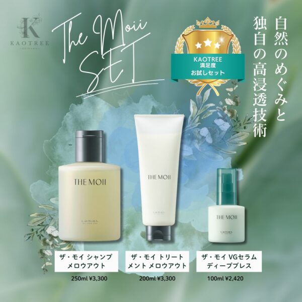 THE MOII ザ・モイ トリートメント メロウアウト 500ml | KAOTREE