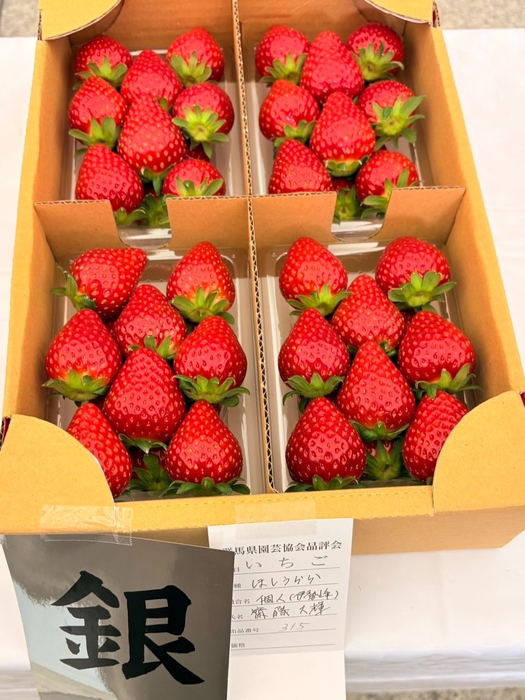 今日は群馬県いちご品評会でした🍓 | Instagram | 群馬・伊勢崎で