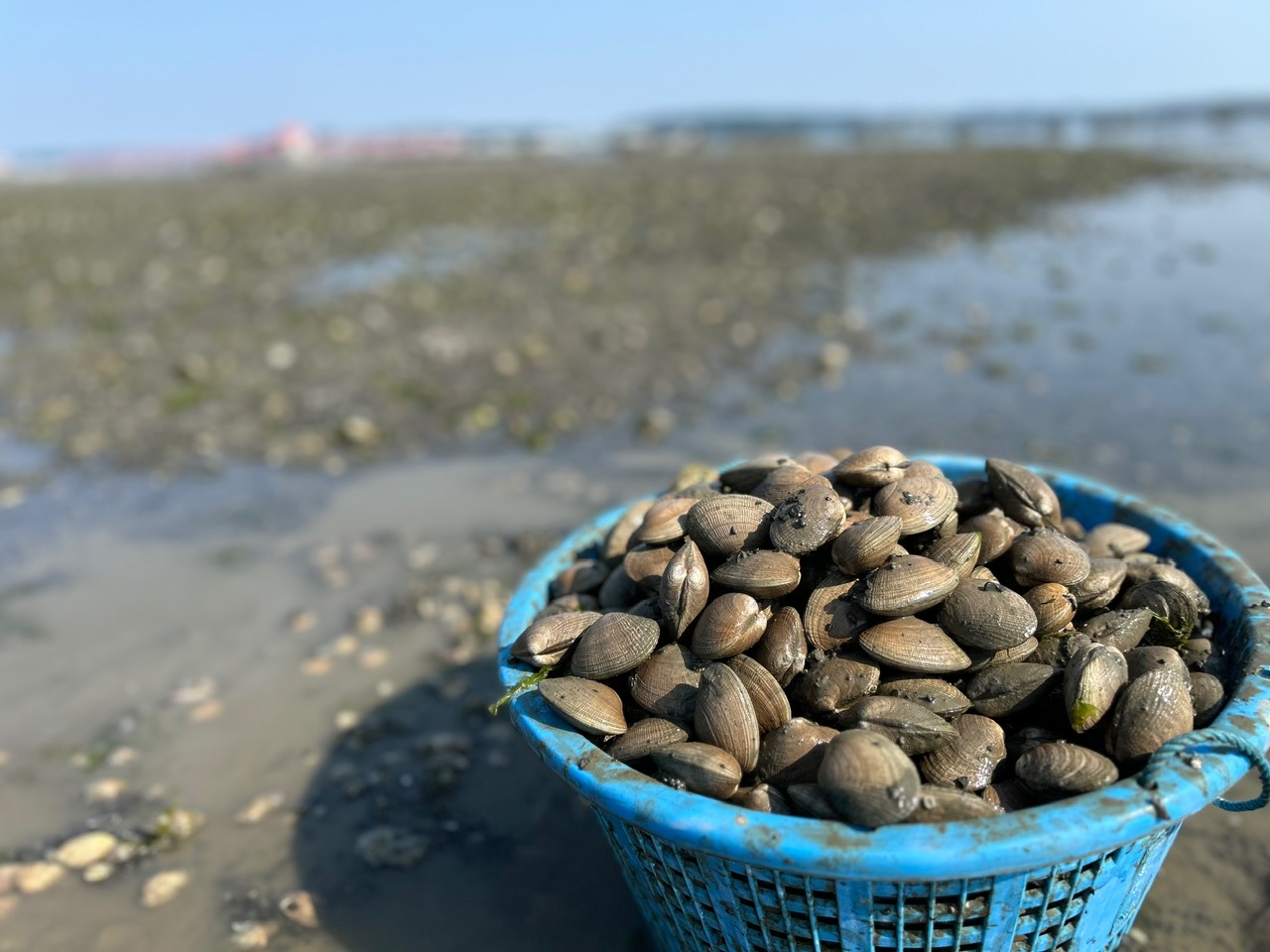 取扱商品|有限会社カキキン