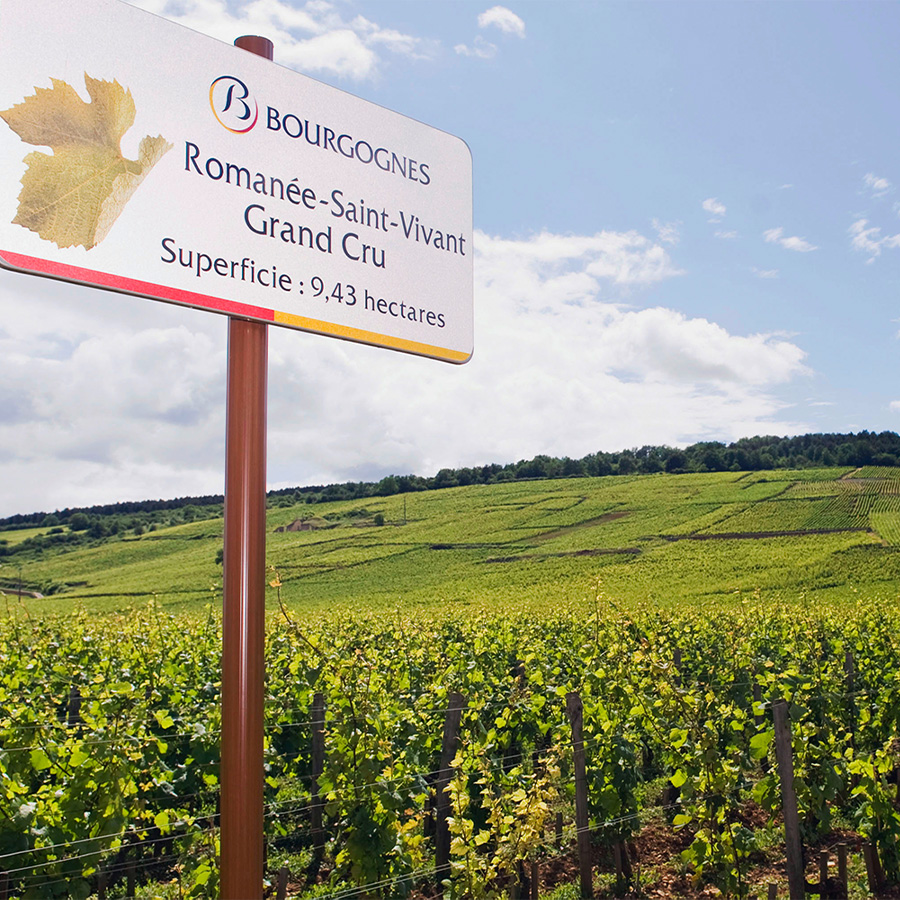 ロマネ・サン・ヴィヴァン | 勝田商店 公式通販サイト KATSUDA本店