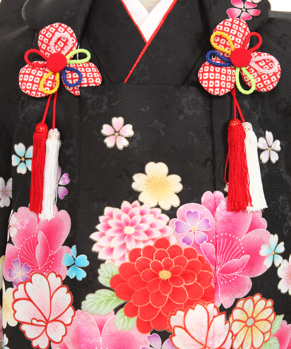 七五三(三歳女の子)着物レンタル｜菊桜柄黒色着物×黒色被布｜W-G-3-160