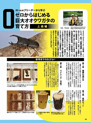 ビークワ92号（BE・KUWA） 日本のミヤマクワガタ大特集!!
