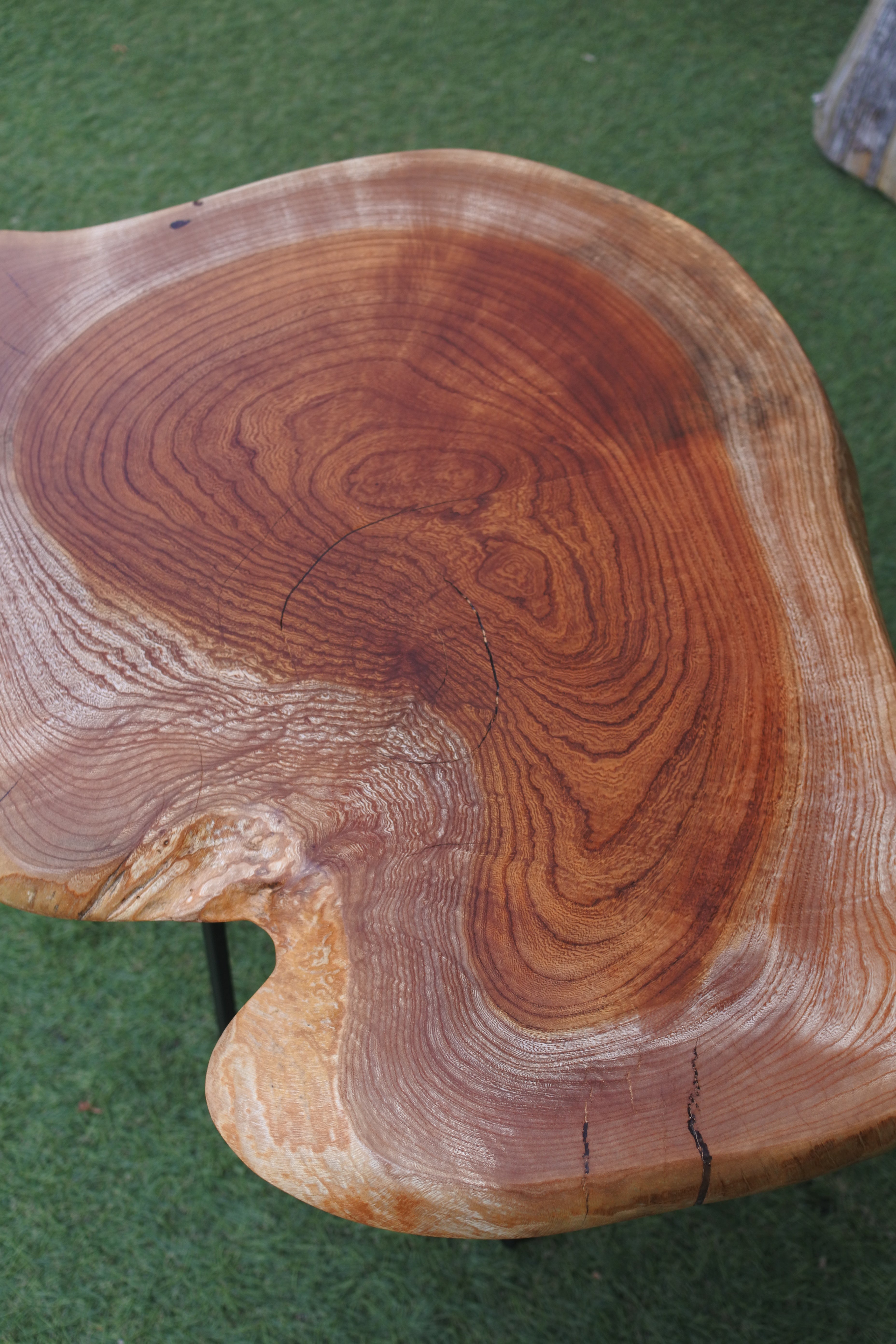 53．ケヤキ 輪切り｜ミニテーブル – 木の物語工房