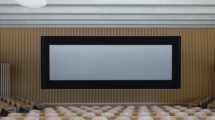 ハイコントラストクリアブラックボードタイプ（ノーマルゲイン） SNBA