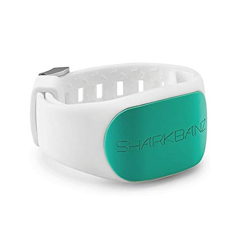 SHARKBANZ 2 - White/Seafoam - Kit Radar