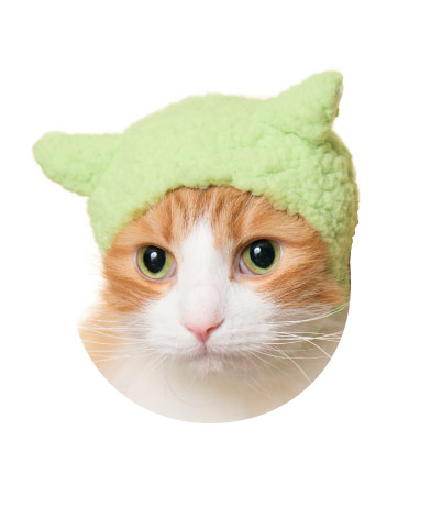 かわいい かわいい ねこひつじちゃん〜ほっこり♡リラックスカラー