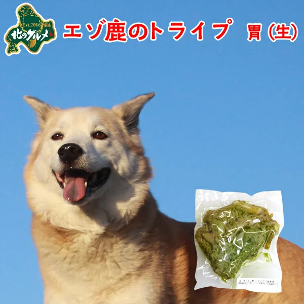 北海道産の天然食材、エゾシカのグリーントライプです。 | エゾ鹿肉
