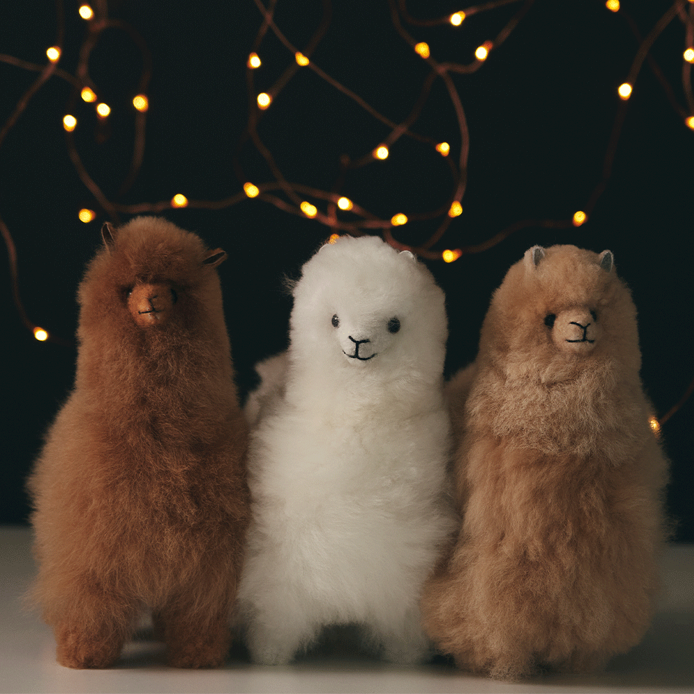 elvang｜アルパカ テディ 20*20 | KONCENT Web shop｜アッシュ