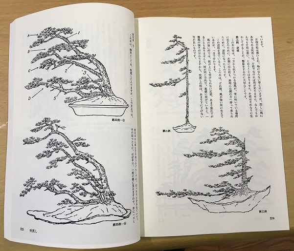 待望の復刻！「五葉松盆栽の作り方」（書籍） | 小林産業株式会社