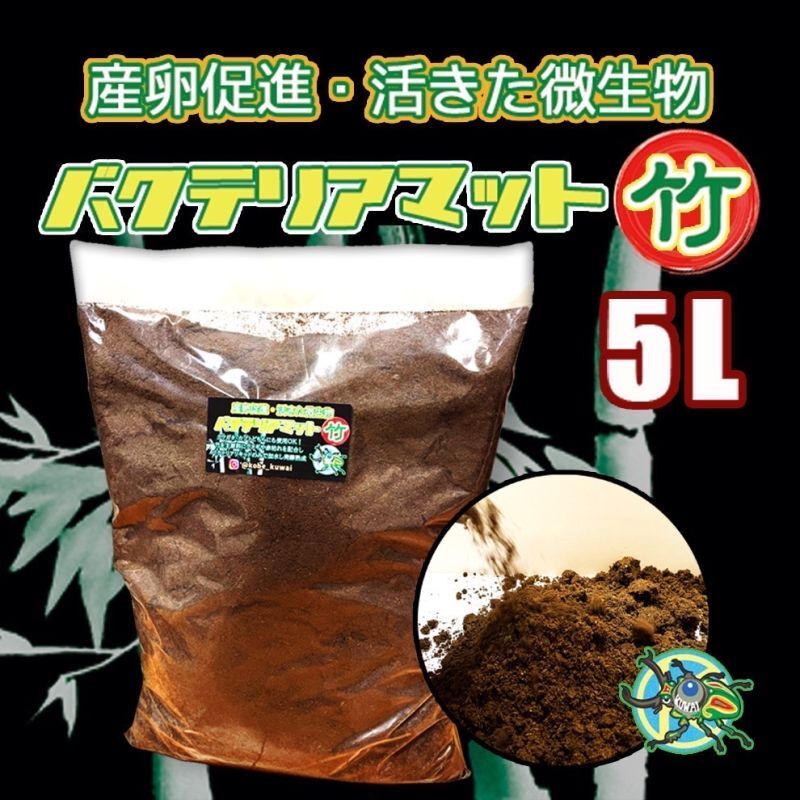 昆虫 カブトムシ クワガタムシ 飼育 用品販売 KOBE-KUWAI 神戸KUWAI