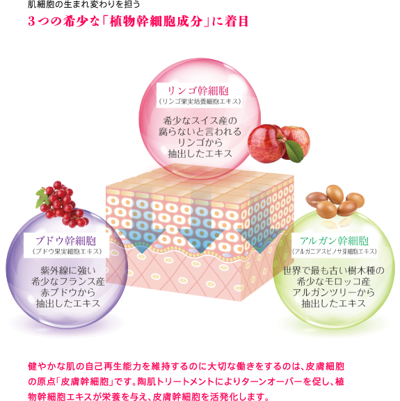 REVI陶肌トリートメント | 美容整骨小顔ラボ