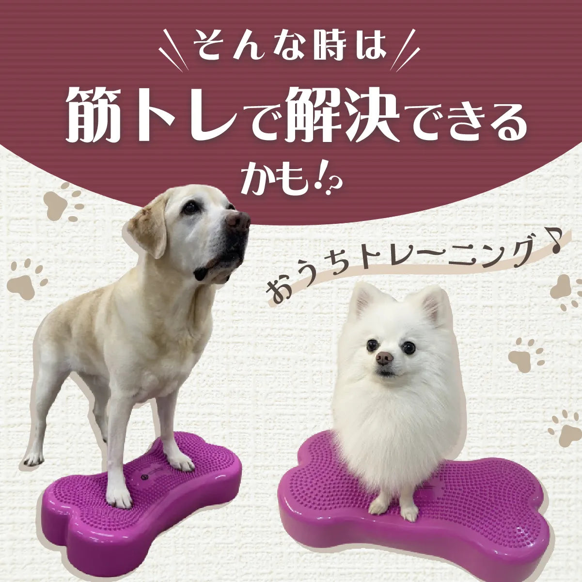 獣医師推奨】アプリア バランスボーン – kps_online_shop