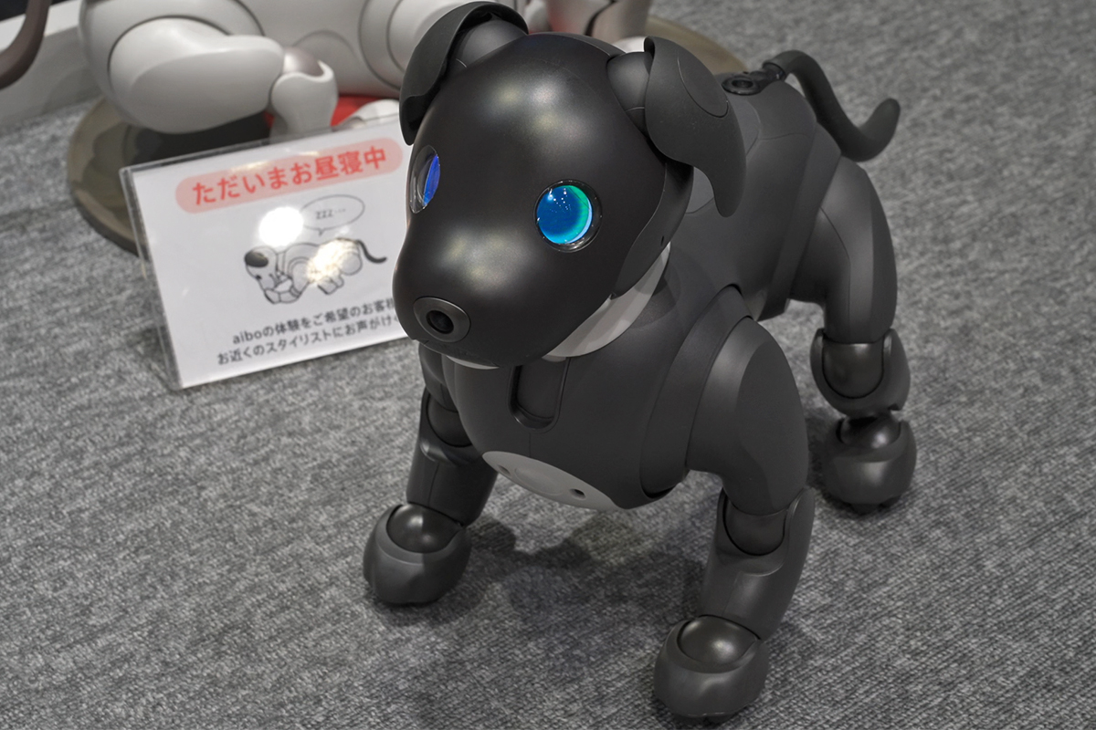 8月1日11時よりaiboの価格が5.5万円値上げに。aibo「ERS-1000」誕生6