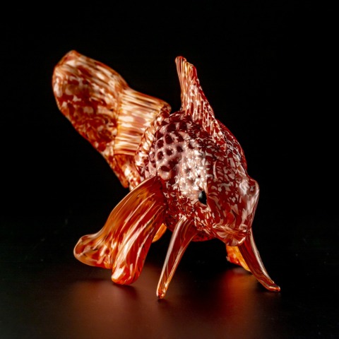 Pino Signoretto 金魚 | 全ての商品 | 黒壁公式オンラインショップ