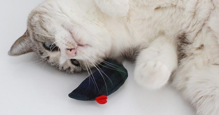 音が鳴る猫おもちゃのねずみ。運動不足解消におすすめ