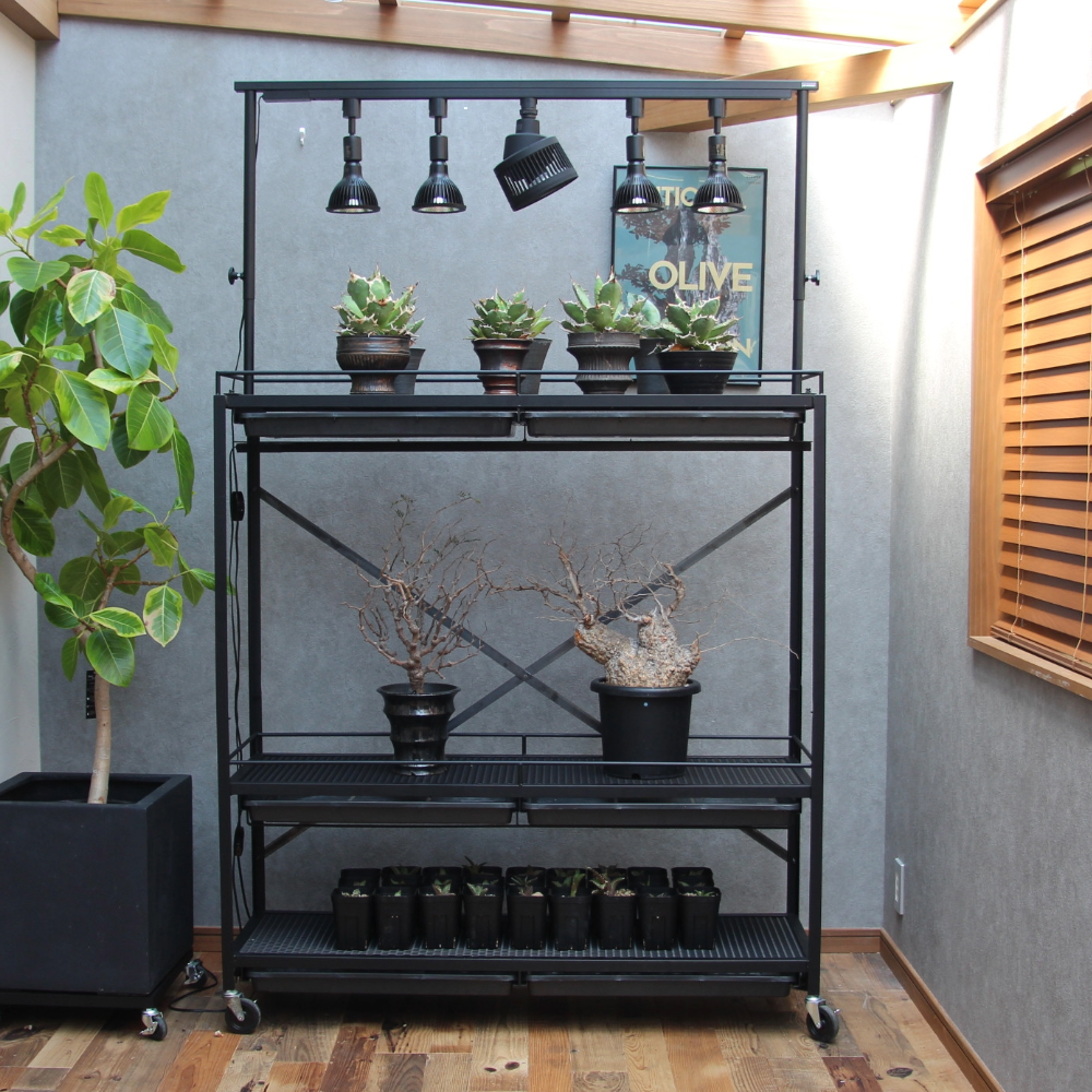 可動式水受けトレー付き植物棚