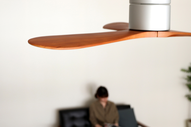 Modern Collection シーリングファン REAL wood blades JE-CF025