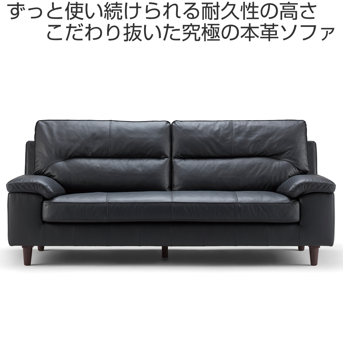 ソファ 3人掛け 幅198cm ハイバックローアームタイプ 本革 SALSA （ 開