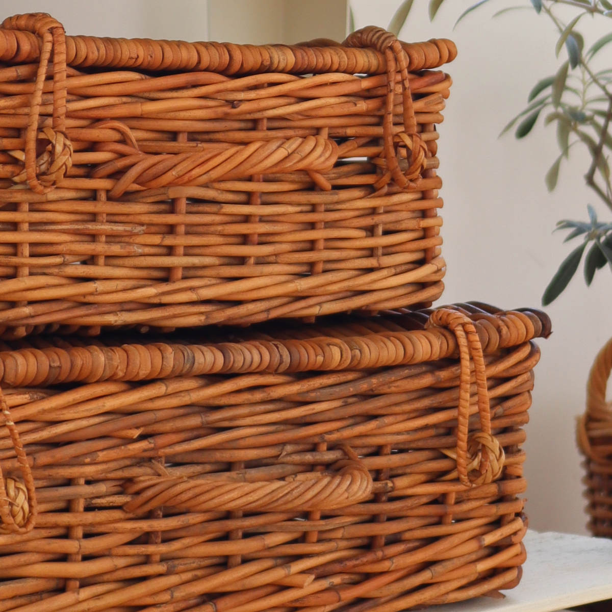 バスケット アラログ バゲッジバスケットL ラタン （ かご 収納 皮