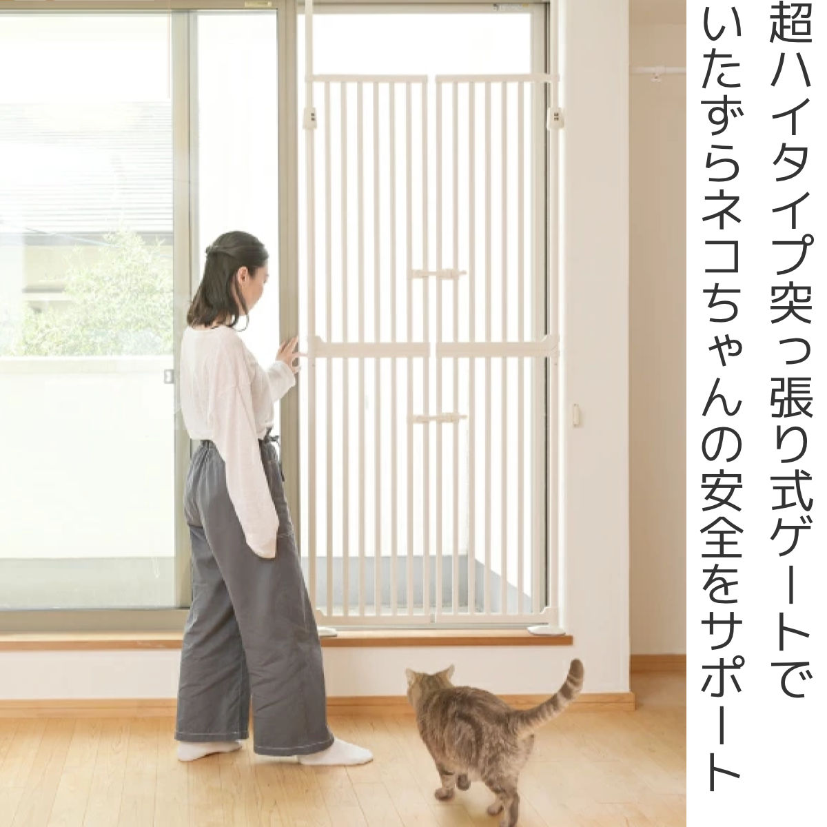 dショッピング |ペットゲート 猫 にゃんドア ハイタイプ 突っ張り