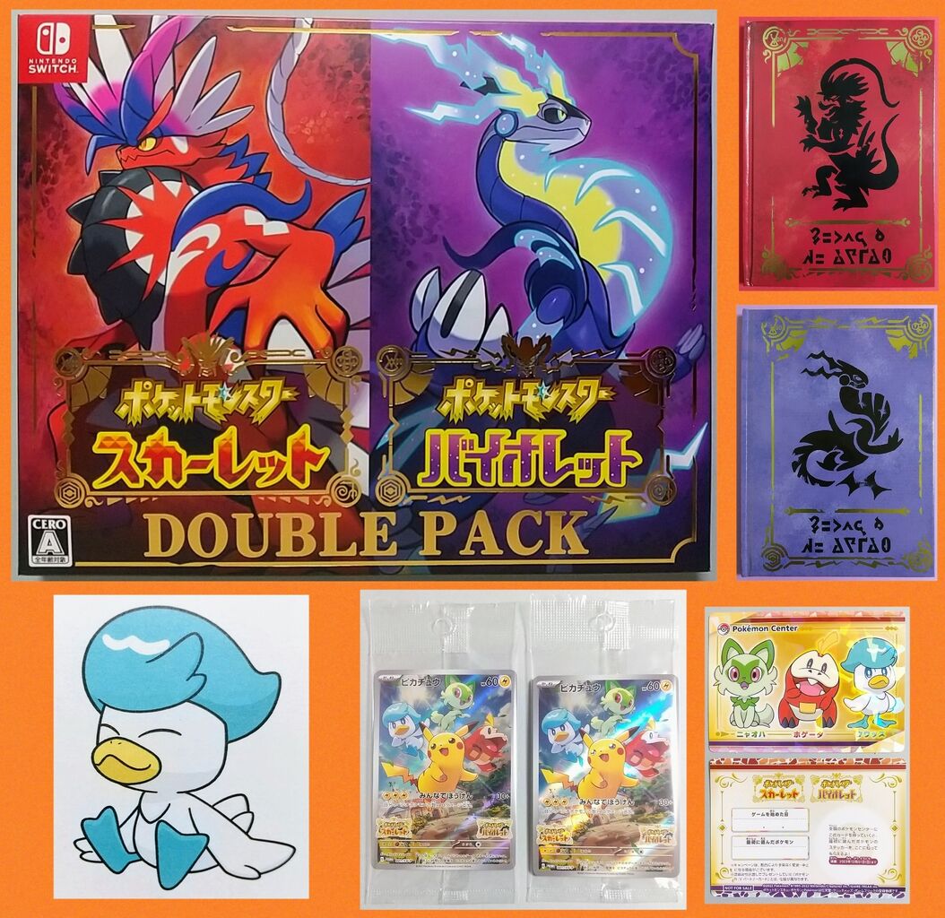 オープンワールドRPGへ♪】Nintendo Switch ポケットモンスター