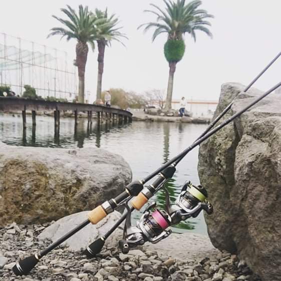 SILVERNA LAGO、59Bottom＆65Clankの実釣解説！ : テイルウォーク開発日記