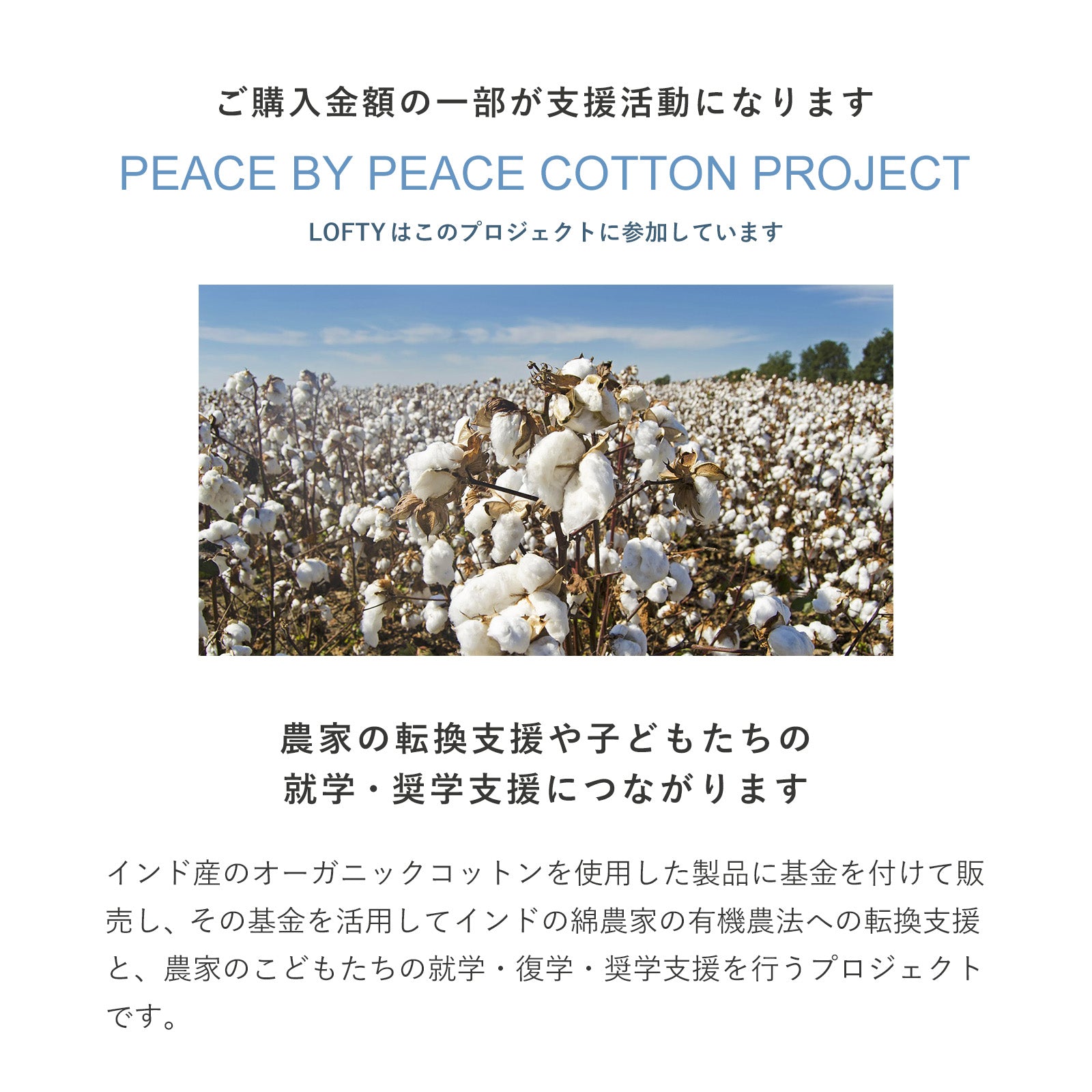 ロフテーパピヨン専用 オーガニックコットン ニットピローケース 枕