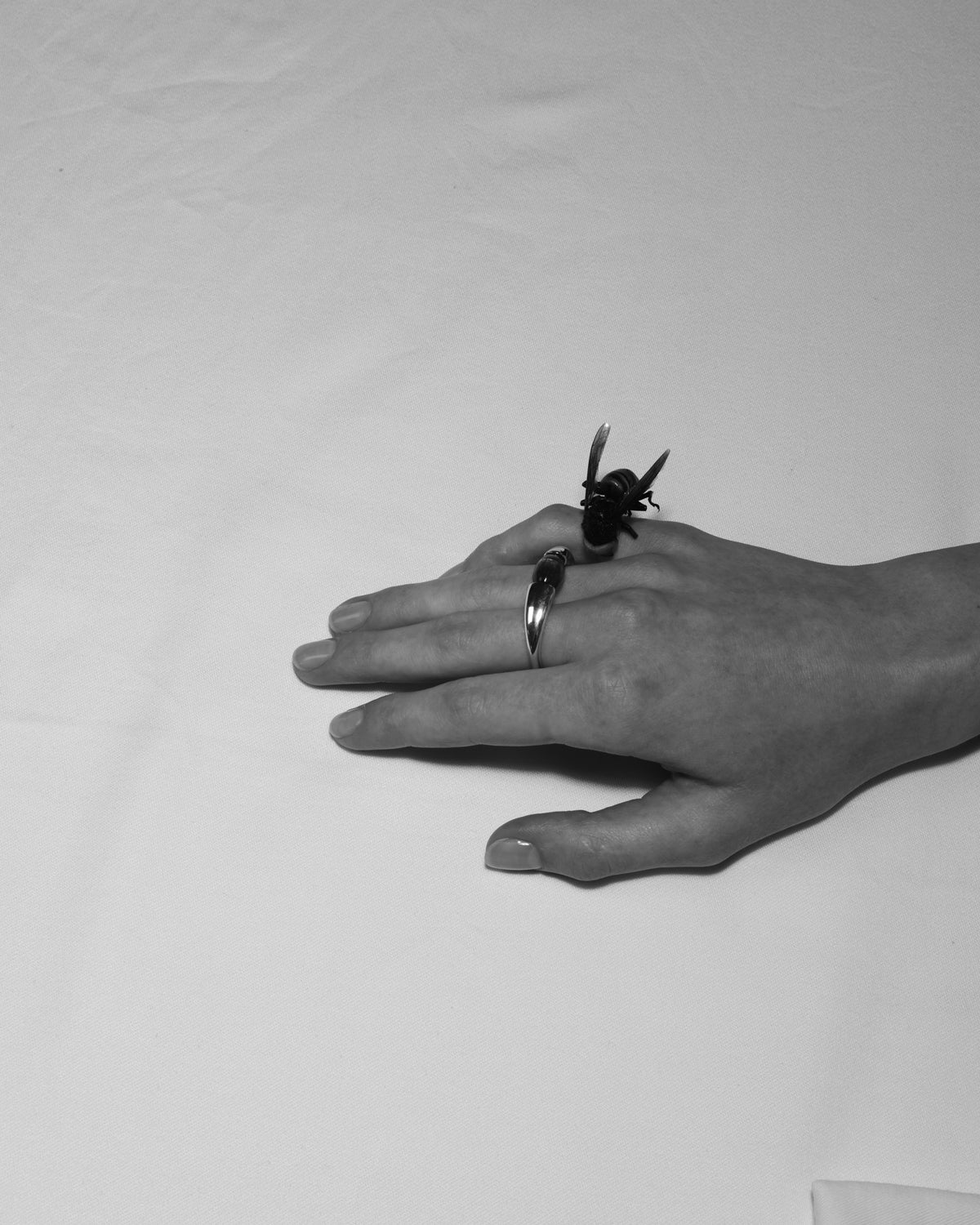 front open ring 03｜LORO(ロロ)公式通販