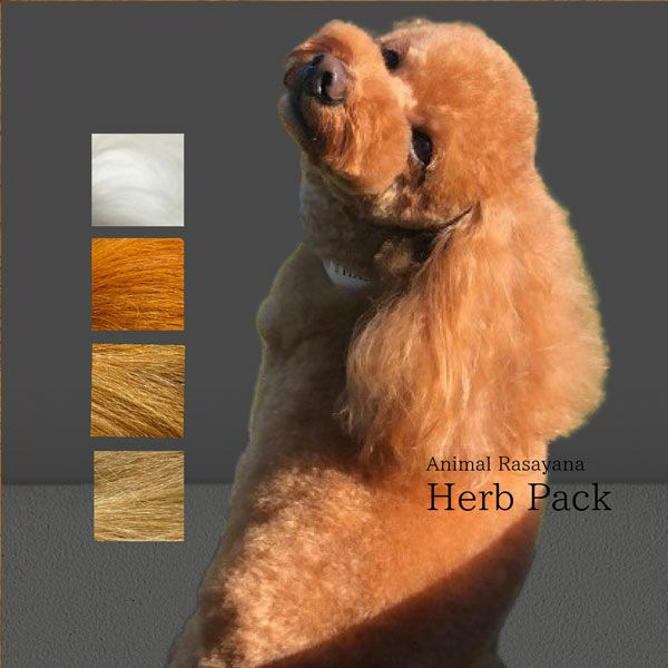 アニマルラサーヤナハーブパック クリア100g | LoveLoveジャパン