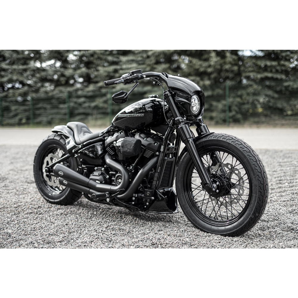 ハーレーパーツ＆用品・ラッキースカル / 【Killer Custom】Aggressor