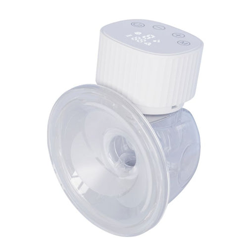 J629565_800_800_2d0e807f-d189-